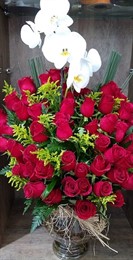 Arranjo com Orquídea e 50 Rosas Vermelhas 
